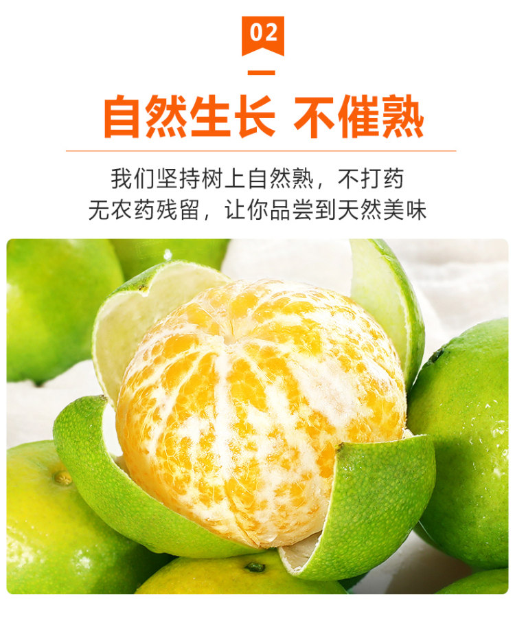 广西皇帝柑5斤 图4