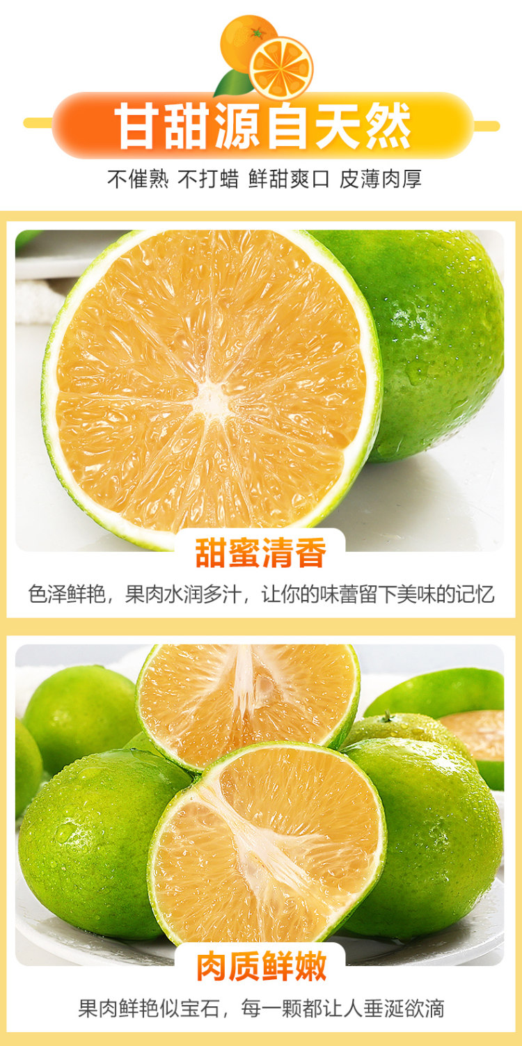 广西皇帝柑5斤 图6