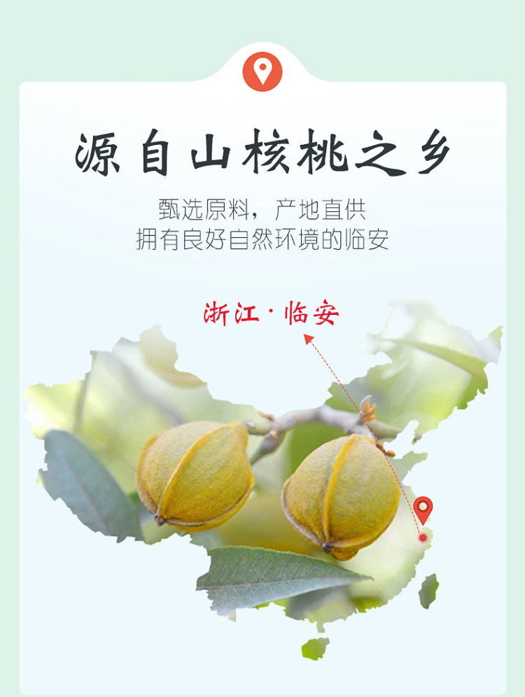 林之源 临安山核桃仁罐装 100g 图3