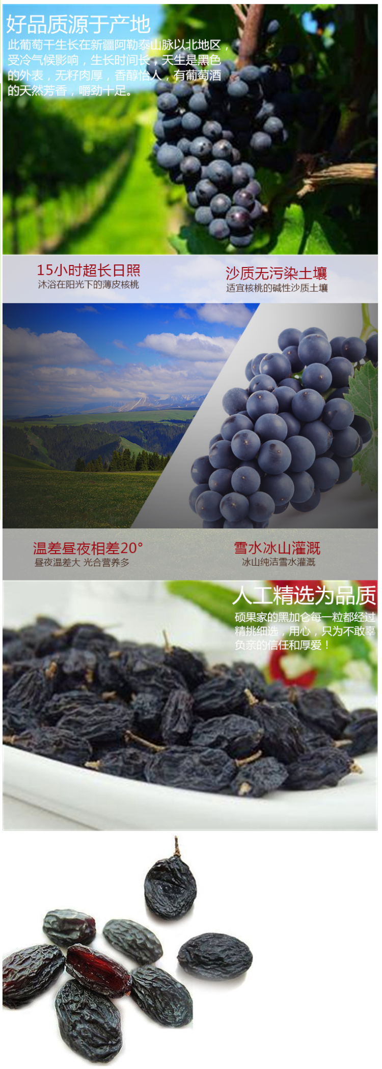 以稀 正宗新疆黑加仑葡萄干 500g 图1