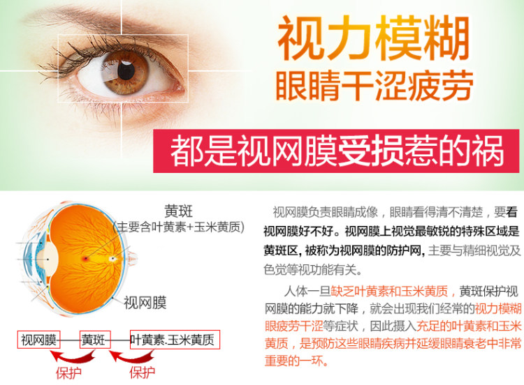 美国进口 普丽普莱 万寿菊叶黄素软胶囊 120粒*2瓶 保护视力 图2