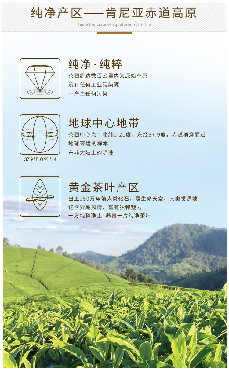 火烈鸟 肯尼亚赤道高原茶叶 图2