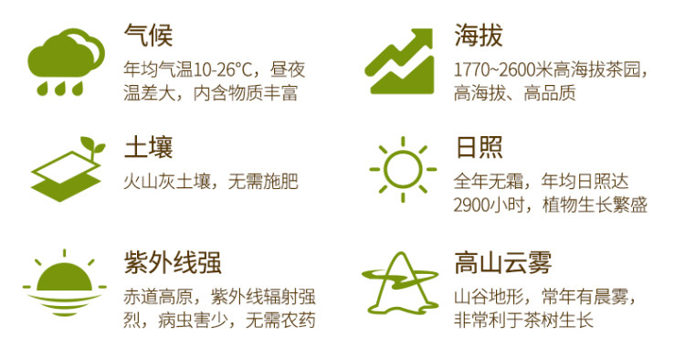 火烈鸟 肯尼亚赤道高原茶叶 图3