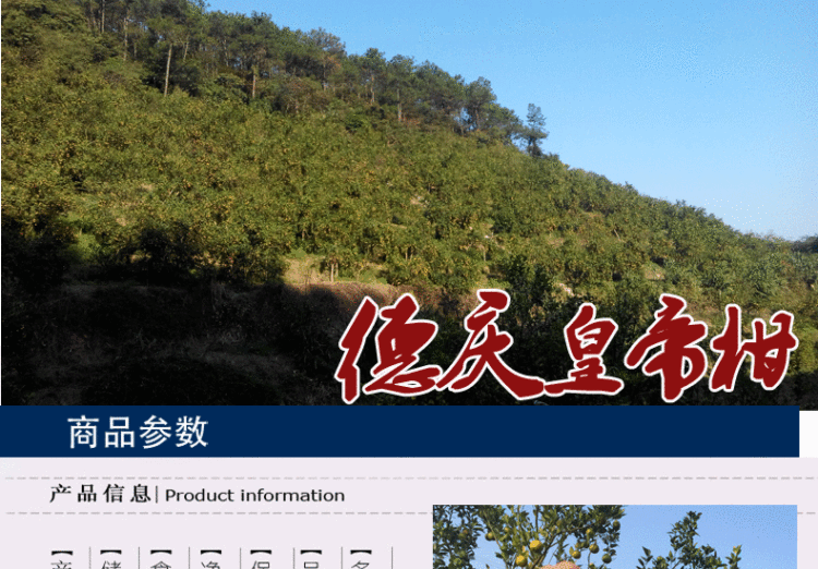 德庆皇帝柑 包甜5斤装 图1