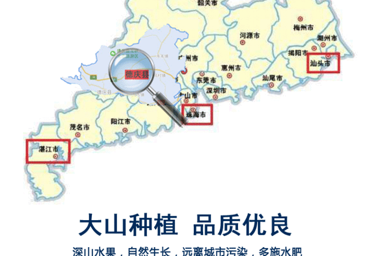 德庆皇帝柑 包甜5斤装 图4