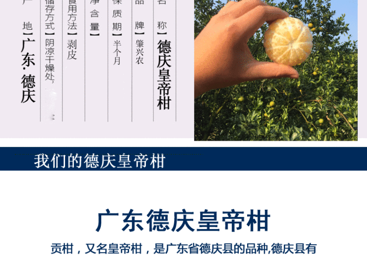 德庆皇帝柑 包甜5斤装 图2