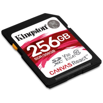 Kingston 金士顿 256GB 100MB/s SD Class10 防水抗震高速存储卡 图2