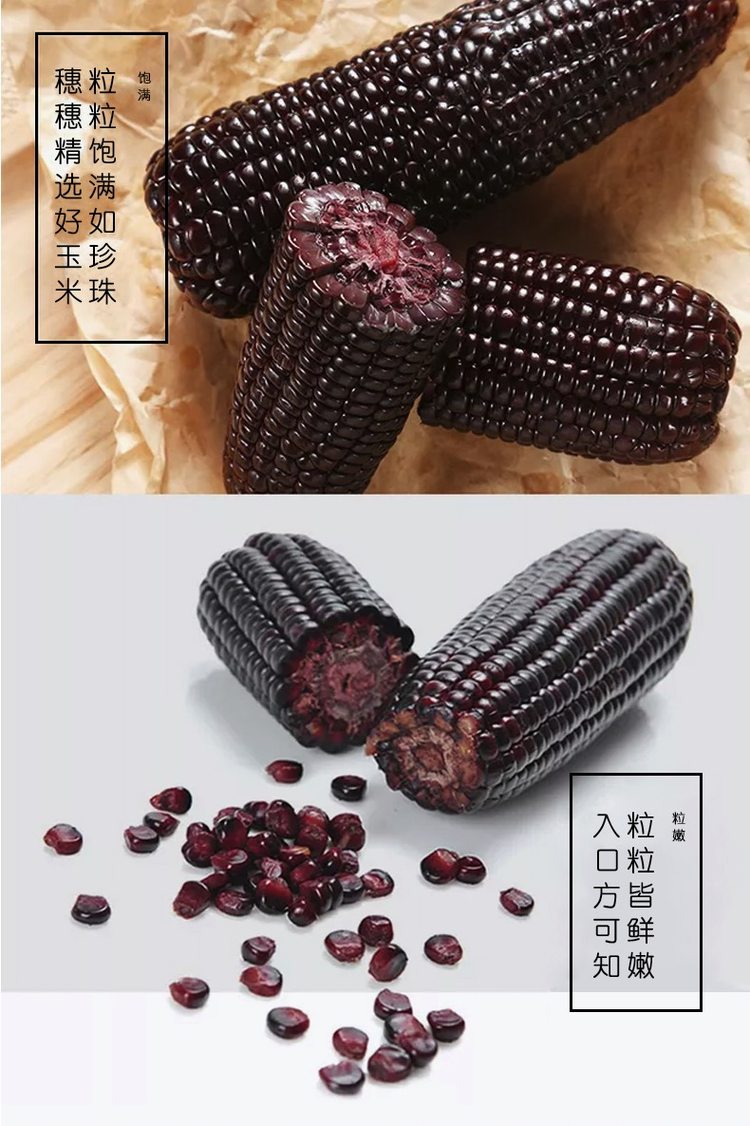 以稀 新疆有机富硒黑糯/黄糯玉米棒 6黑4黄共10根净重5斤 真空包装 图5
