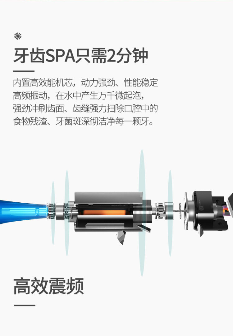 希尔顿 成人电动牙刷 柔软杜邦刷毛 3个刷头 图6
