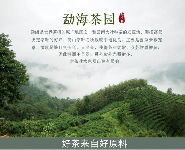 中茶 2016年红韵春芽 三年陈普洱熟茶 357g 图2