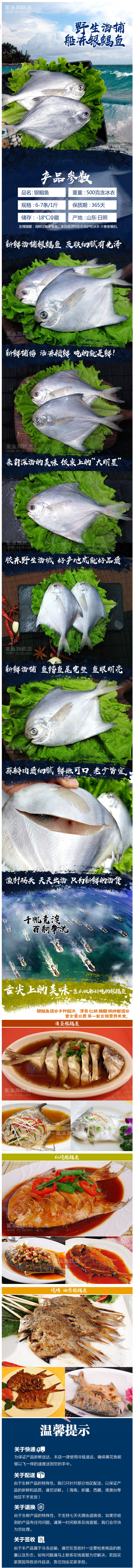 星渔 海捕野生冷冻银鲳鱼 3斤 每斤约6~7条 图1