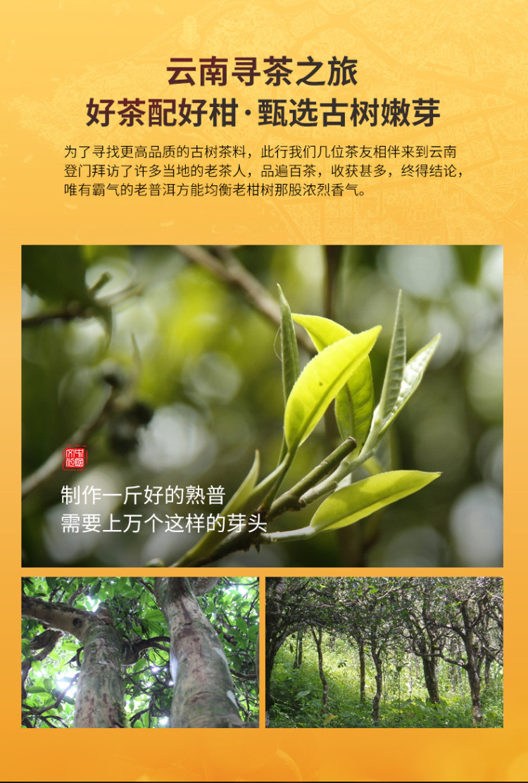 新会 小青柑茶叶礼盒装 图5