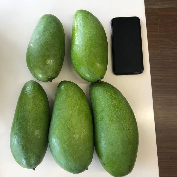 我们买过 超甜又便宜的巨无霸越南大青芒 净重8斤 单果500-1000g 图5