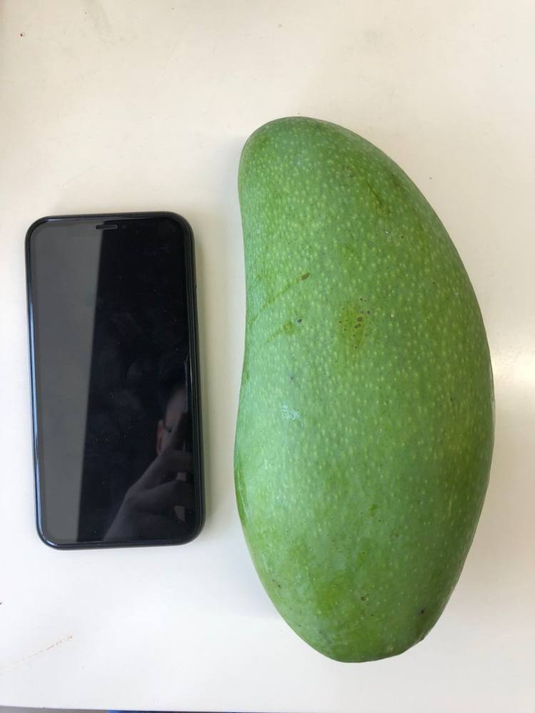 我们买过 超甜又便宜的巨无霸越南大青芒 净重8斤 单果500-1000g 图6