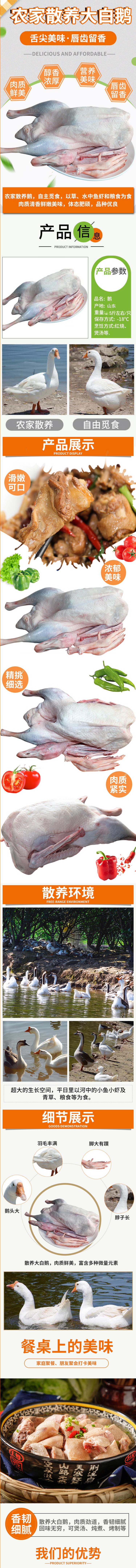 铁锅炖大鹅中的大鹅 杀后重5斤 图1