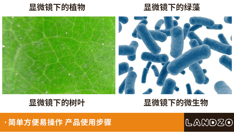 LANDZO 蓝宙 1200倍 高倍儿童显微镜套装 图6