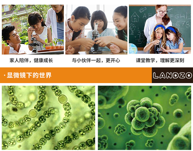 LANDZO 蓝宙 1200倍 高倍儿童显微镜套装 图5