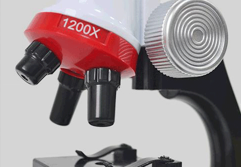 LANDZO 蓝宙 1200倍 高倍儿童显微镜套装 图9
