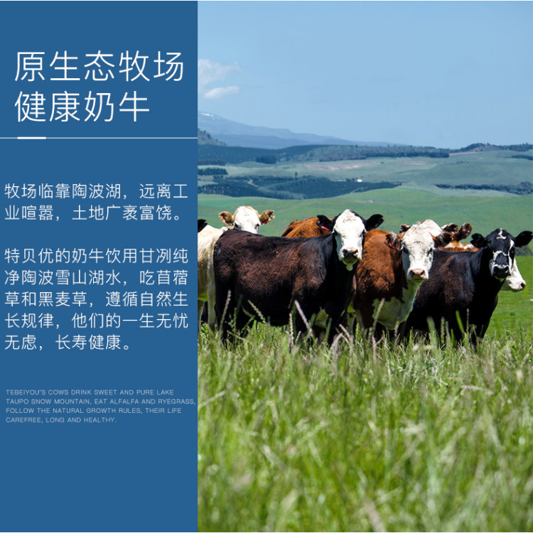 新西兰原装进口 taupopure 成人全脂奶粉 2斤装 图3
