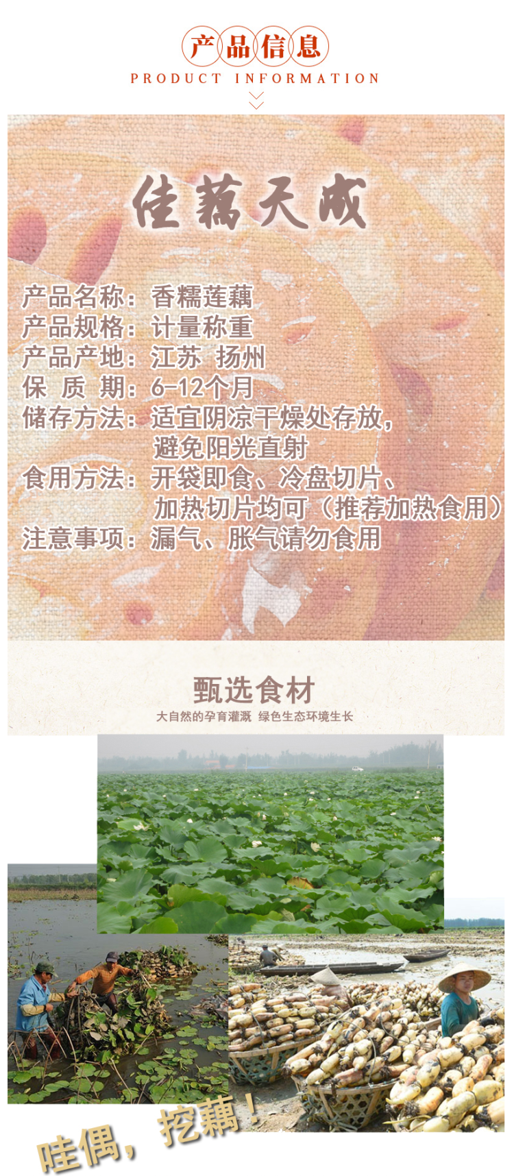 邮歌 0香精色素 桂花糯米藕 蜜汁甜糖藕 350g 图2