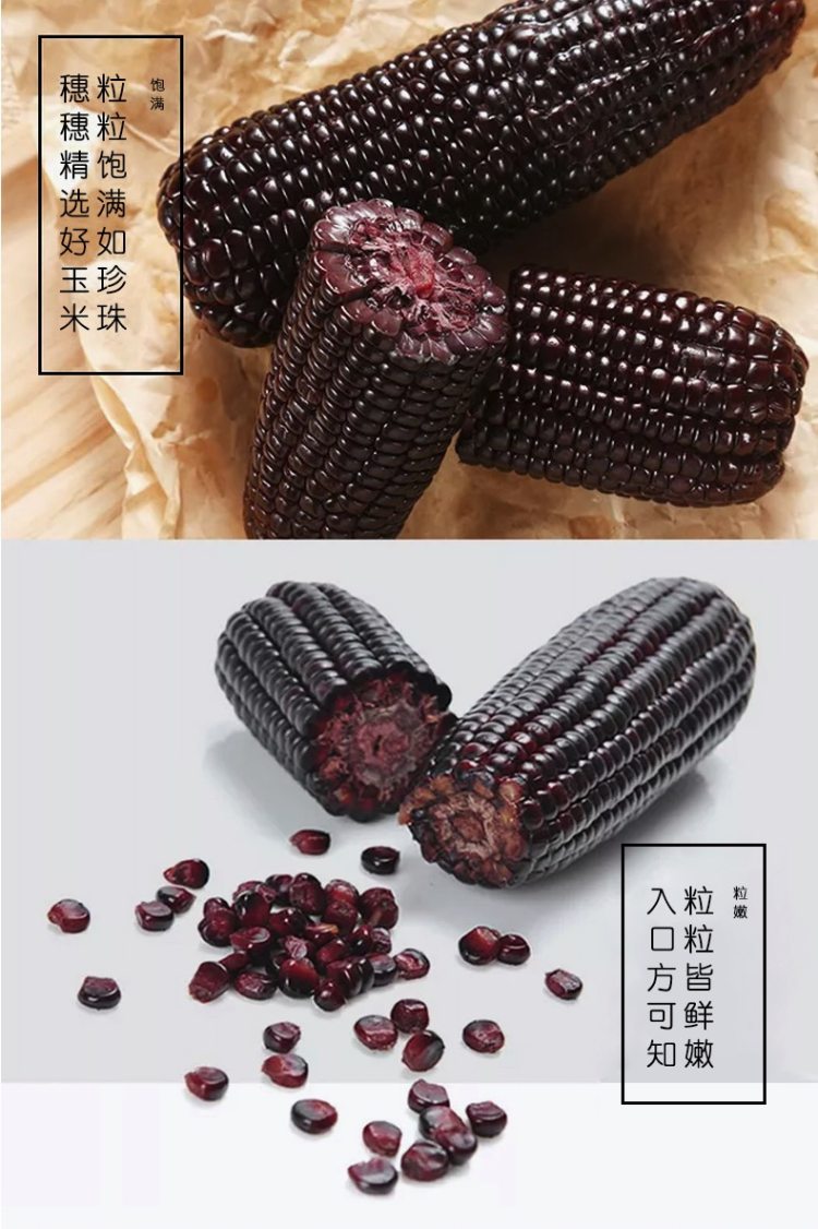 以稀 新疆有机富硒黑糯/黄糯玉米棒 6黑4黄共10根净重5斤 真空包装 图5