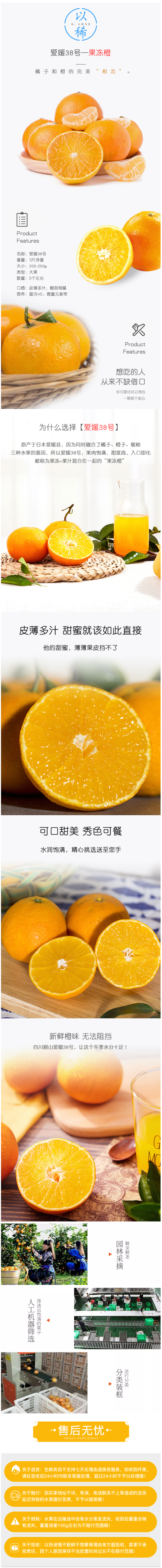 四川爱媛38号果冻橙 精选大果 5斤 图1