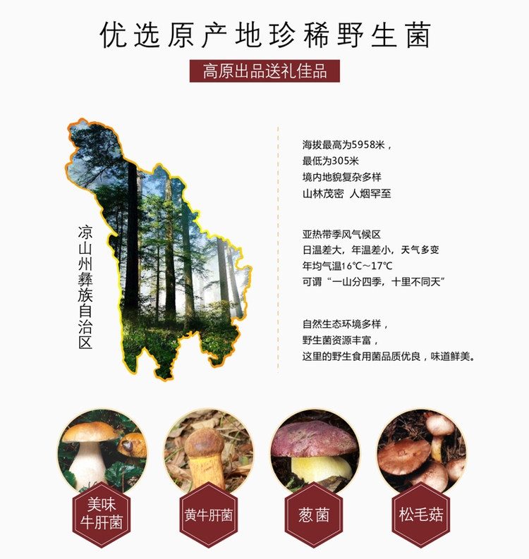 川野 野生菌礼盒 260g 4种野生菌 图2