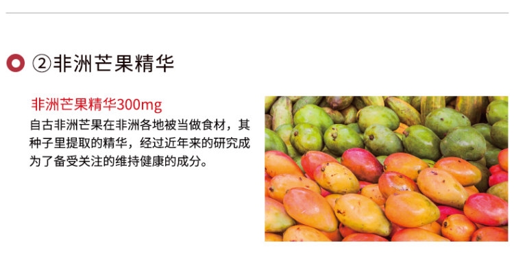 日本狮王 LION 乳酸菌 益生菌 62粒 调理肠胃 图4