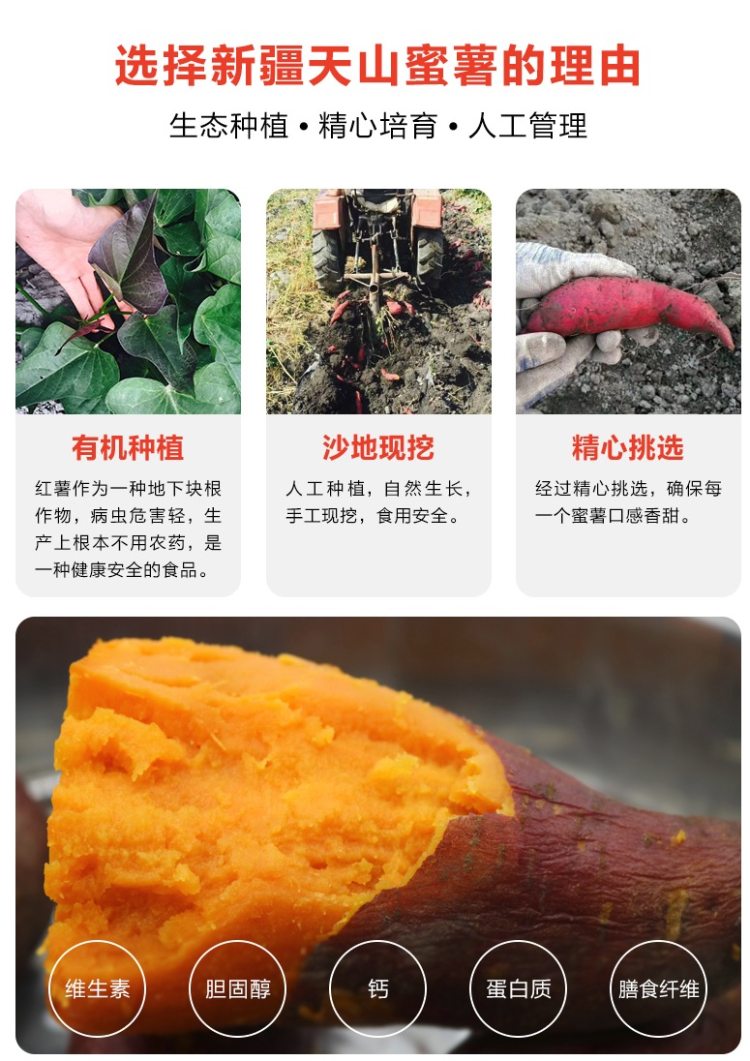 以稀 正宗新疆天山冰糖蜜薯 净重7斤 香甜软糯无筋 图8