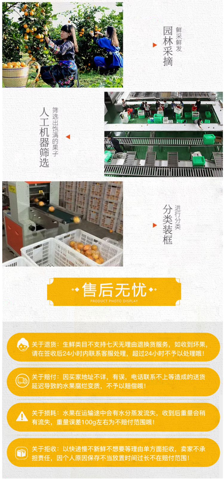 四川丑橘 新鲜不知火 丑柑 5斤 图8