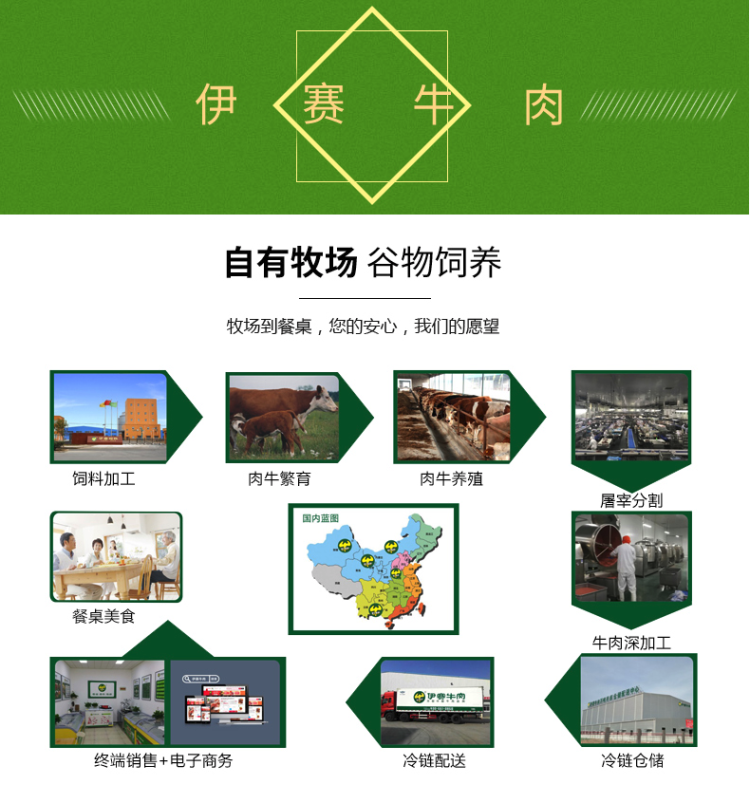 CCTV展播品牌 伊赛 清真撒尿牛丸 240g*6袋 图9
