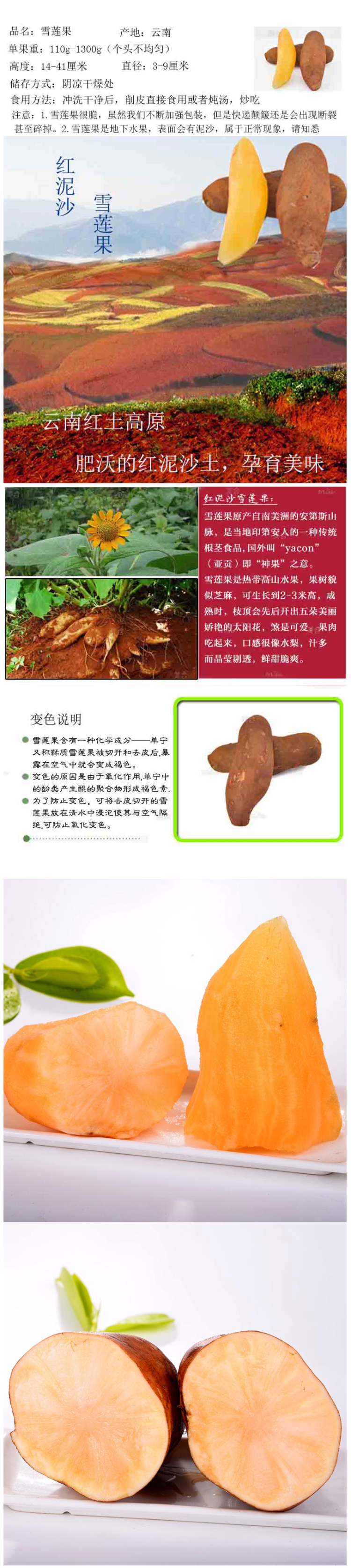 东方甘霖朔 云南特产 红泥沙雪莲果 10斤 图1