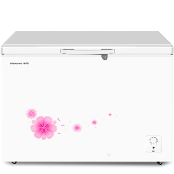 Hisense 海信 BD/BC-308NU/A 308升 冰柜 图1
