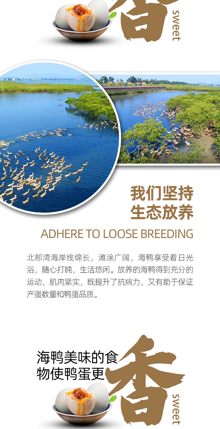 海洋无限 广西北部湾红树林咸鸭蛋 大蛋60-70g*20枚 图3