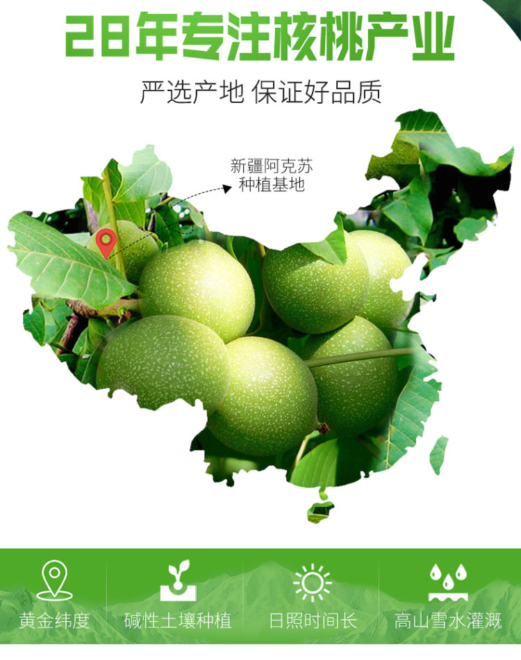 马一芳 芝麻琥珀核桃仁2袋 图2