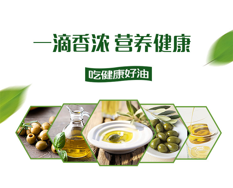 逸飞 含13%橄榄油 食用调和油 物理压榨大桶5L 图4