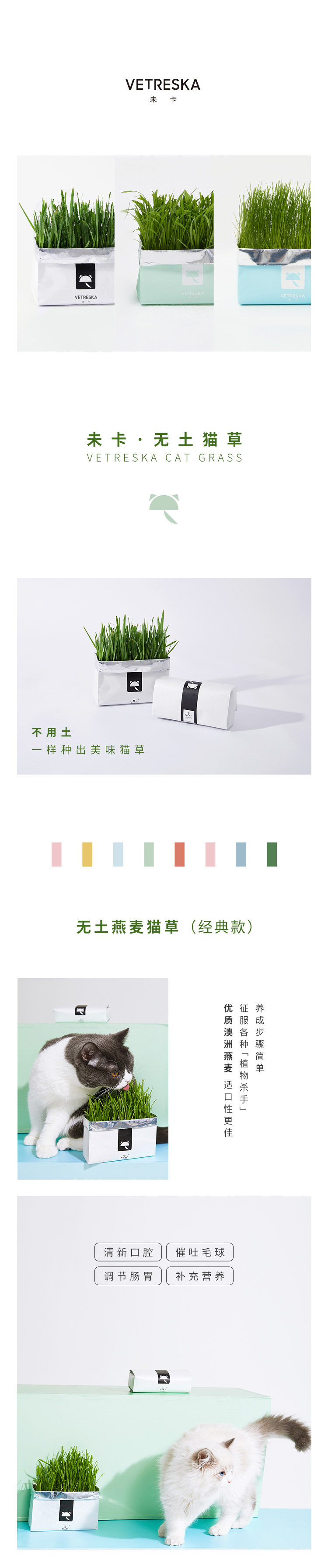 未卡 无土有机猫草 图4