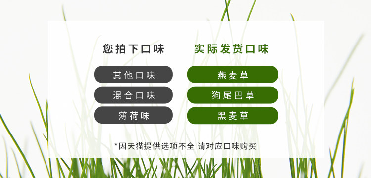 未卡 无土有机猫草 图2