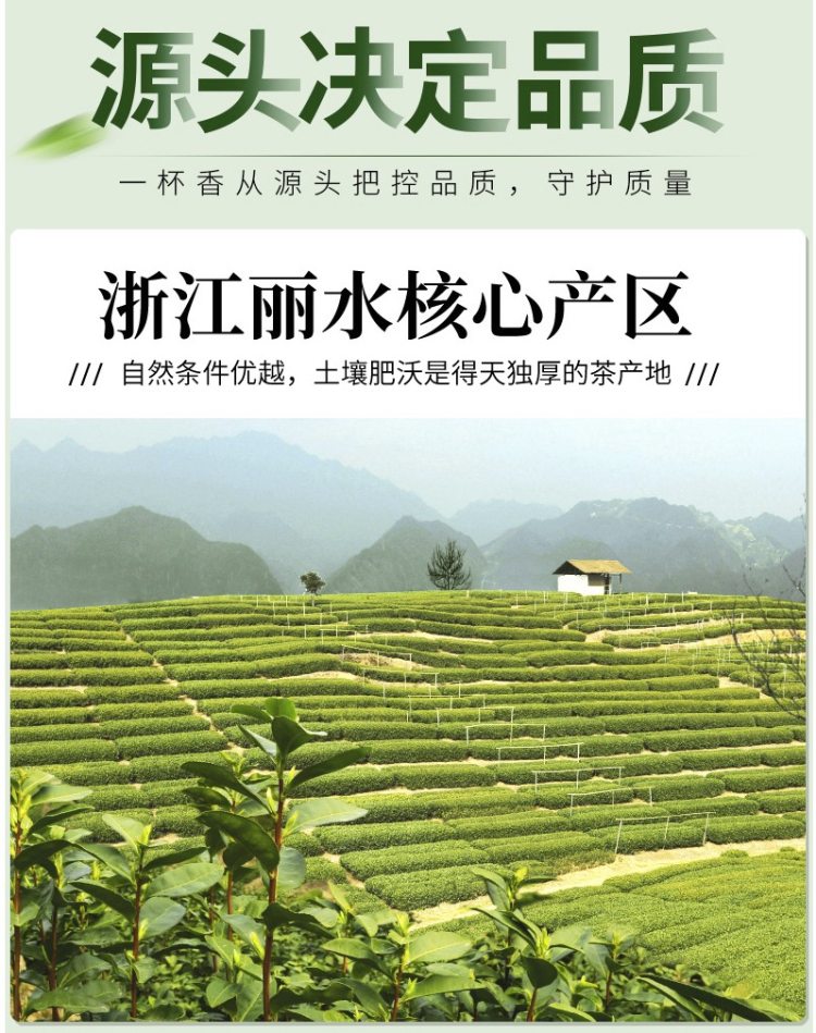 一杯香 2019新茶 雨前云雾绿茶 500g礼盒装 图10