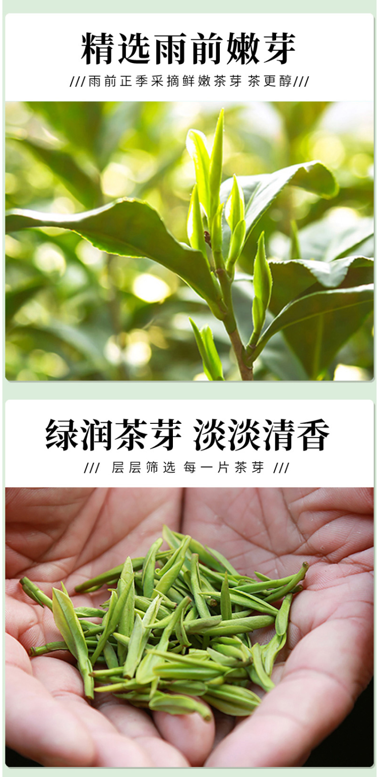一杯香 2019新茶 雨前云雾绿茶 500g礼盒装 图11