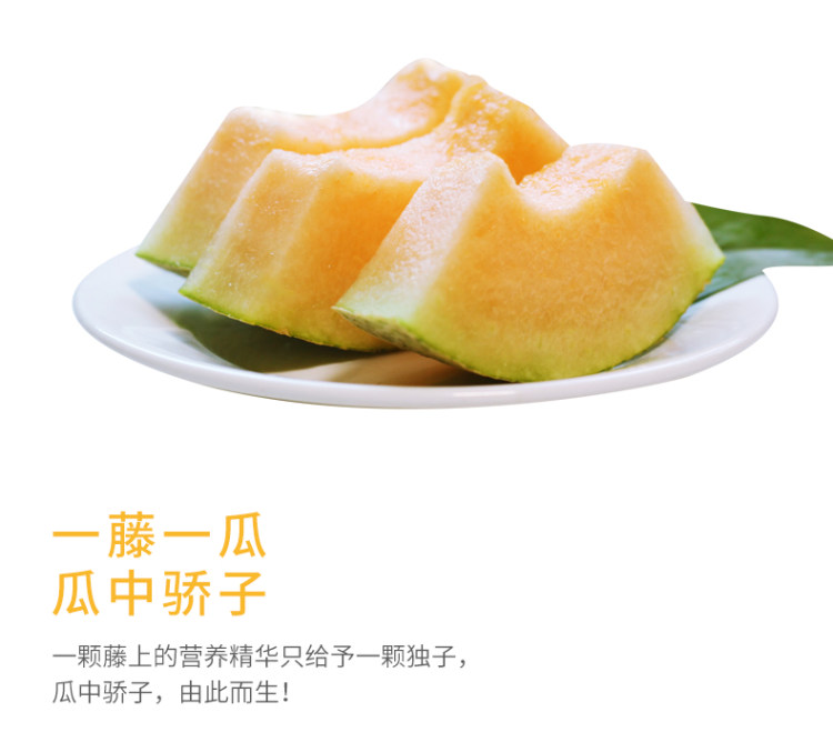 海南西州蜜25号哈密瓜 带箱10斤 净重8.5斤以上 图3