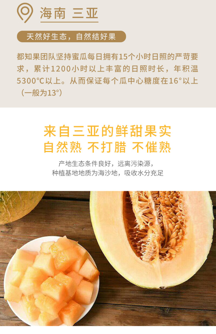 海南西州蜜25号哈密瓜 带箱10斤 净重8.5斤以上 图6