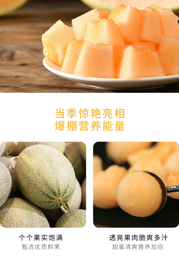 海南西州蜜25号哈密瓜 带箱10斤 净重8.5斤以上 图4