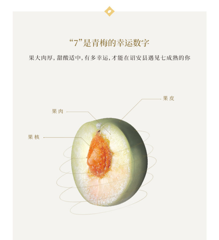本味寒造 青梅酒梅子酒低度微醺果酒女士甜酒300ml 图2