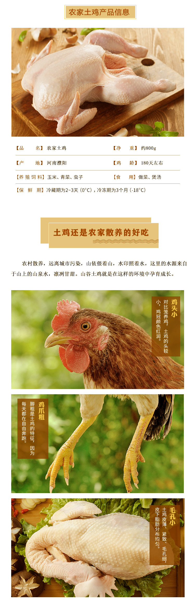 正宗老农家散养土鸡 800g*2只 新鲜现杀 图2