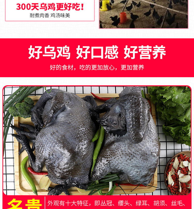 守绿 农家散养300天乌骨鸡 2斤*2只 图19