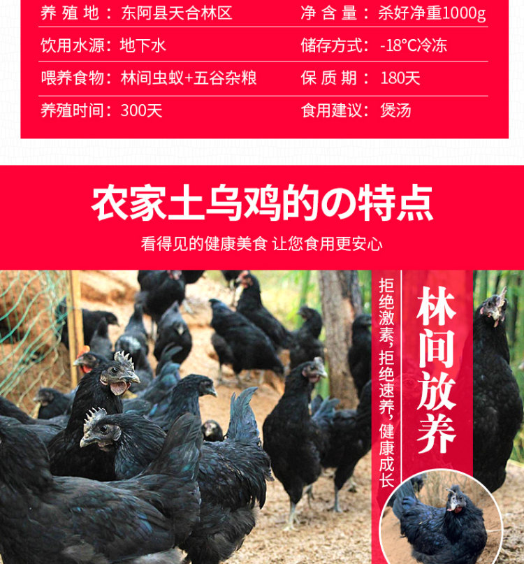 守绿 农家散养300天乌骨鸡 2斤*2只 图15