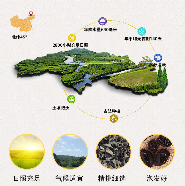 东北特产干货野生黑木耳500g 1:15发泡 图6