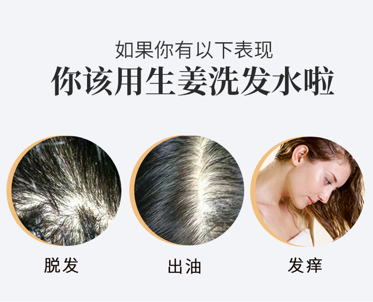 生姜洗发水 防脱生发 500ml 第2-3件0元 图2