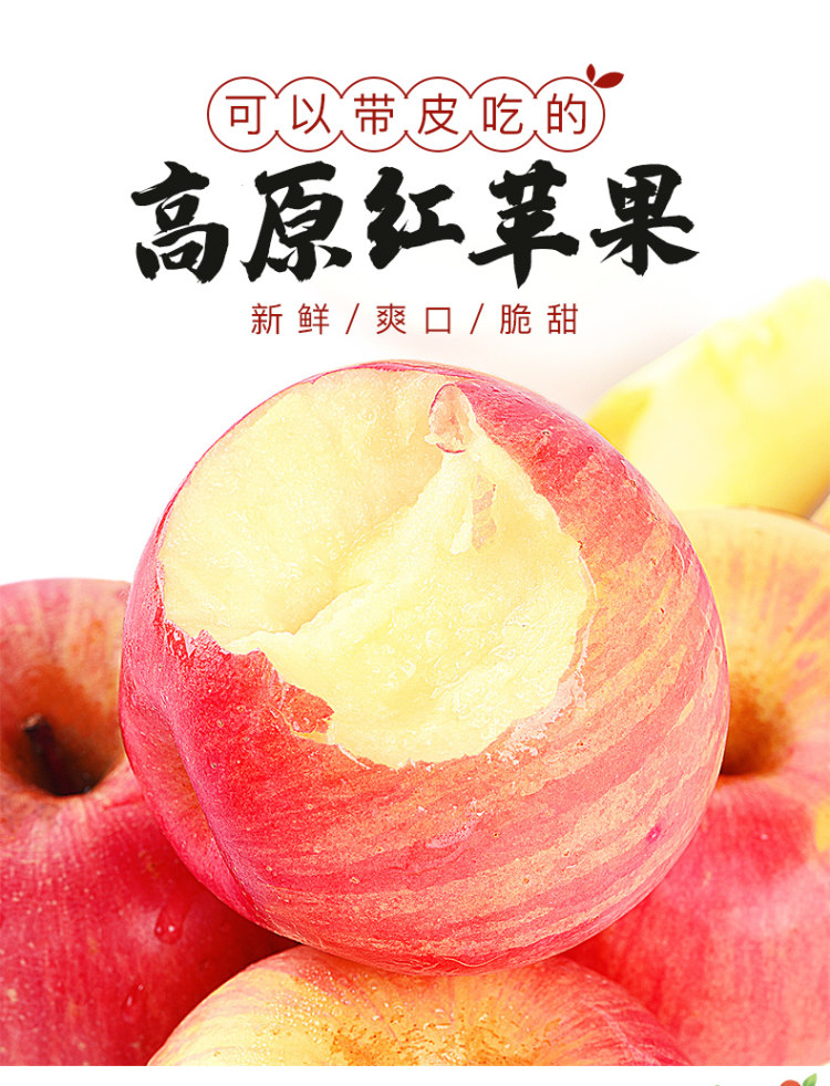 红宝利 洛川高原苹果10斤 图1